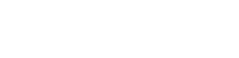 Nipun Radios and Electronics Logo